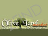 Olive Land Market