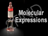 Molecular Expressions