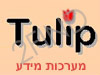 Tulip Information Systems