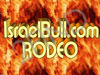 Mechanical Bull Rodeo