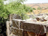 בית הכנסת העתיק אום אל קנאטיר