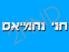 חני נחמיאס