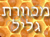 מכוורת גליל