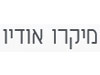 מיקרו-אודיו