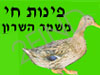 פינת חי בקיבוץ ובכלל