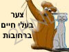 צער בעלי חיים ברחובות