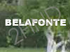 Belafonte.co.il