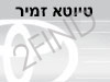 טויוטה זמיר