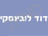 דוד לובינסקי