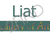 Liat Gallery Of Art