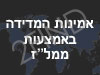 אמינות המדידה באמצעות ממל``ז