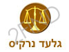 גלעד נרקיס