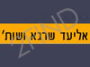 אליעד שרגא ושות'