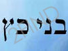 בני כץ