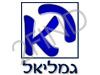 משרד עורכי-הדין ר.א.גמליאל