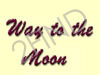 Way to the Moon