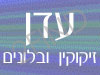 עדן מגנטים לאירועים