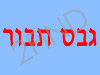 גבס תבור