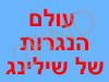 עולם הנגרות של שילינג