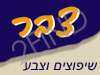 צבר שיפוצים וצבע