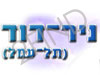 ניר דוד