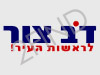 דב צור