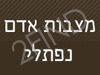 מצבות אדם נפתלי