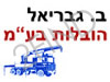 ב. גבריאל הובלות