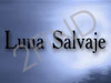 Luna Salvaje