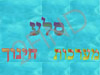 סלע מערכות חינוך