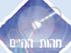 מהות החיים