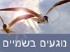 נוגעים בשמיים