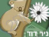 ניר דוד