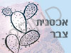 אכסנית צבר