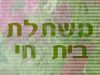 משתלת בית חי