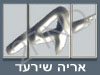 אריה שירעד