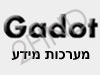גדות מערכות מידע