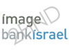 imagebank