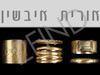 אורית איבשין