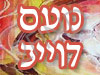 נועם דוייב