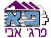 אבי פרג'