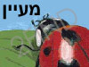 מעיין הירש