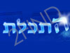 התכלת