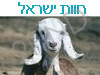 חוות ישראל