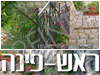 צימרים ראש פינה