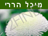 מיכל הררי