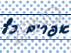 אפרים כץ