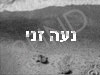 נעה זני