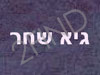 גיא שחר