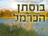בוסתן הכרמל